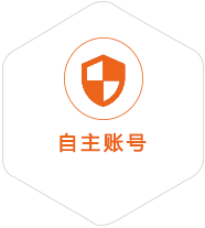 鸠江到美国国际快递
